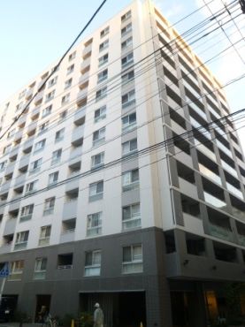 �p�[�N�A�N�V�X���{���l��