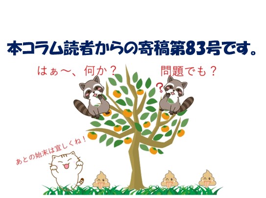 【寄稿№83】巨漢の猫？→否、アライグマ！