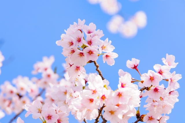 思うところ２１６．「発想の転換」